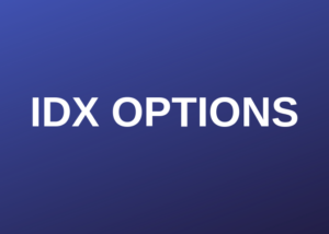 Idx Options Section Image